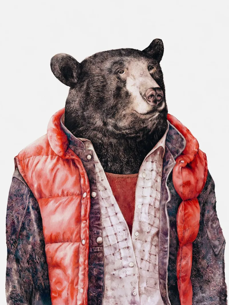 Orso nero pellicola backlit da Animal Crew
