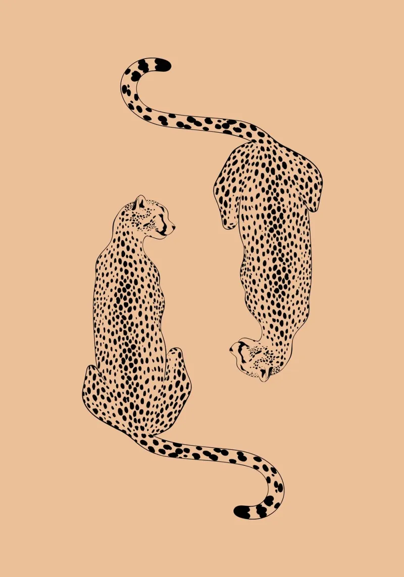 Mirroring Cheetahs - Elegant Minimalist Wildlife Art hahnemühle by NorwesClub