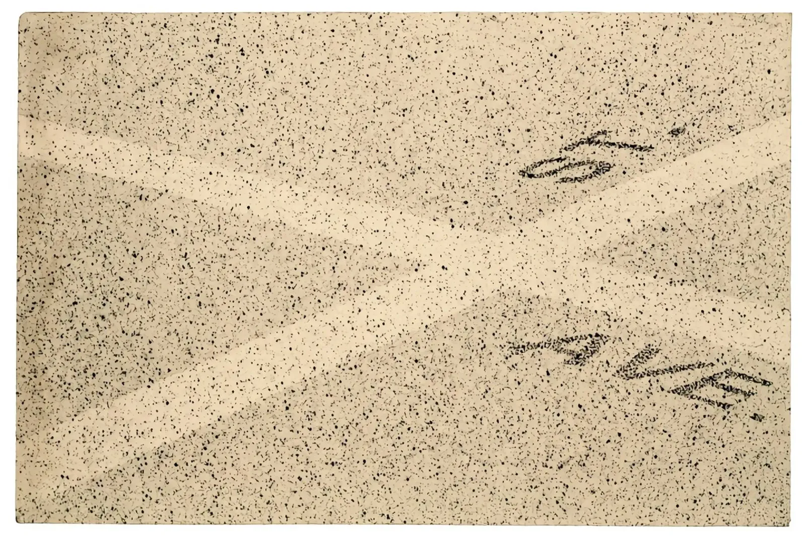 Ed Ruscha St. Crosses Ave canvas by Marcobarshop