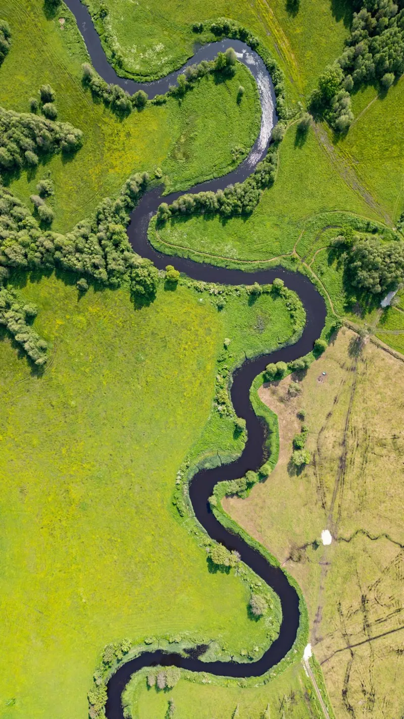 Vista aerea di un fiume tortuoso in Estonia pellicola backlit da anderm