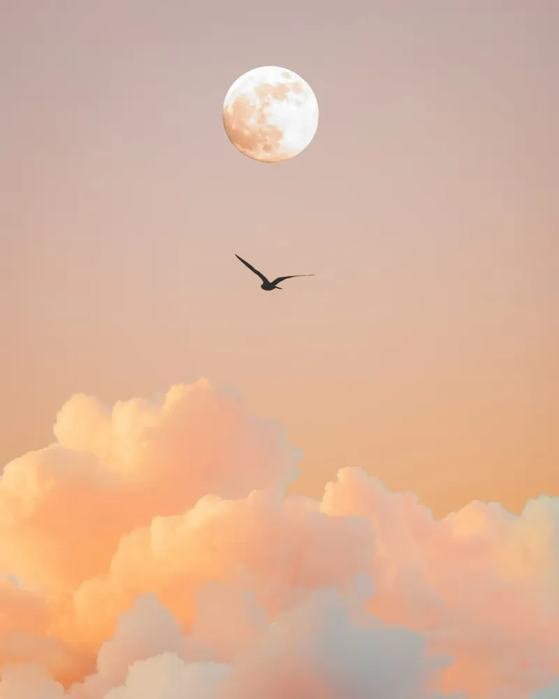 pastel colors nature hahnemühle by Creaton