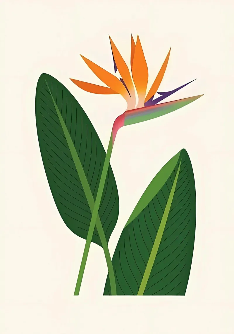 strelitzia pellicola backlit da Haleigh