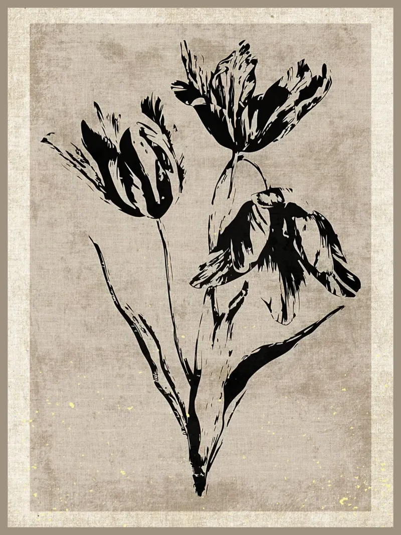 Stampa artistica floreale in bianco e nero pellicola backlit da Modern Geometry