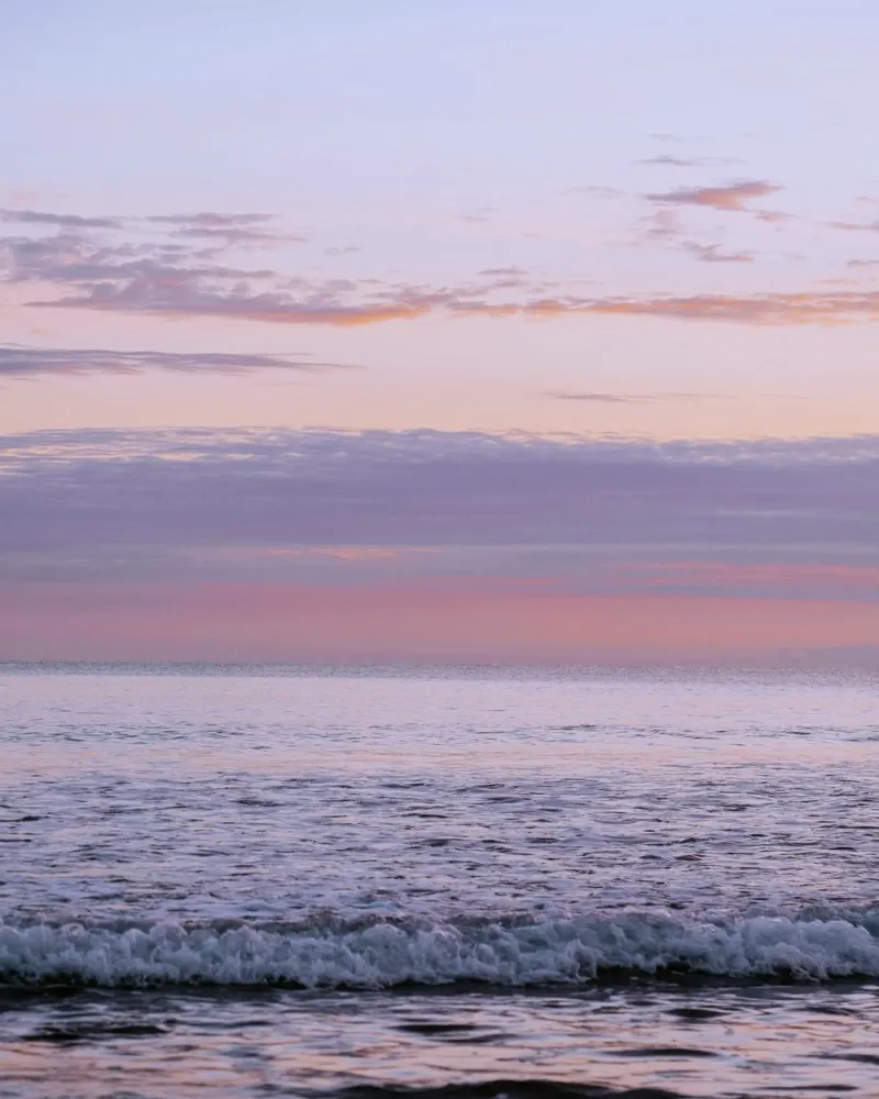 twilight waves pellicola backlit da twillight