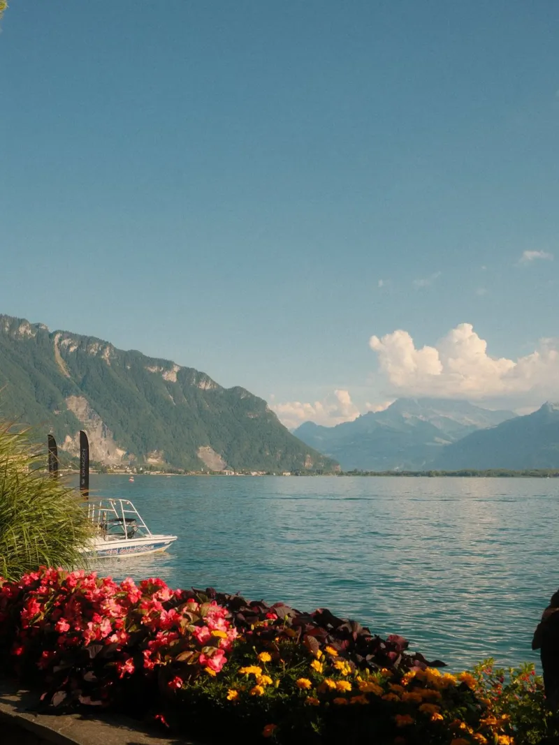 Montreux Bloom pellicola backlit da FujiSwiss