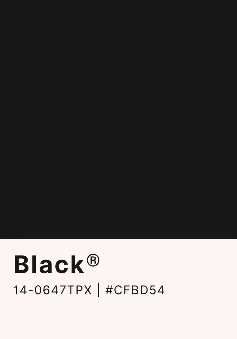 "Black" Color Swatch - Modern Minimalist Design Print canvas by NorwesClub