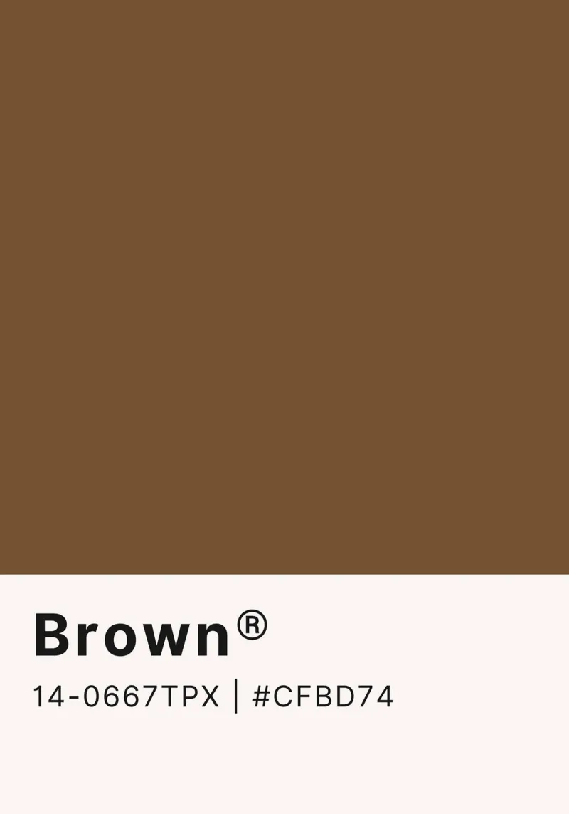 "Brown" Color Swatch - Earthy Minimalist Design Print canvas by NorwesClub