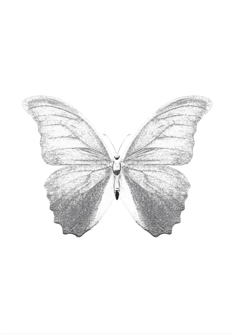 Farfalla d'argento eterea - Stampa incisione minimalista pellicola backlit da NorwesClub