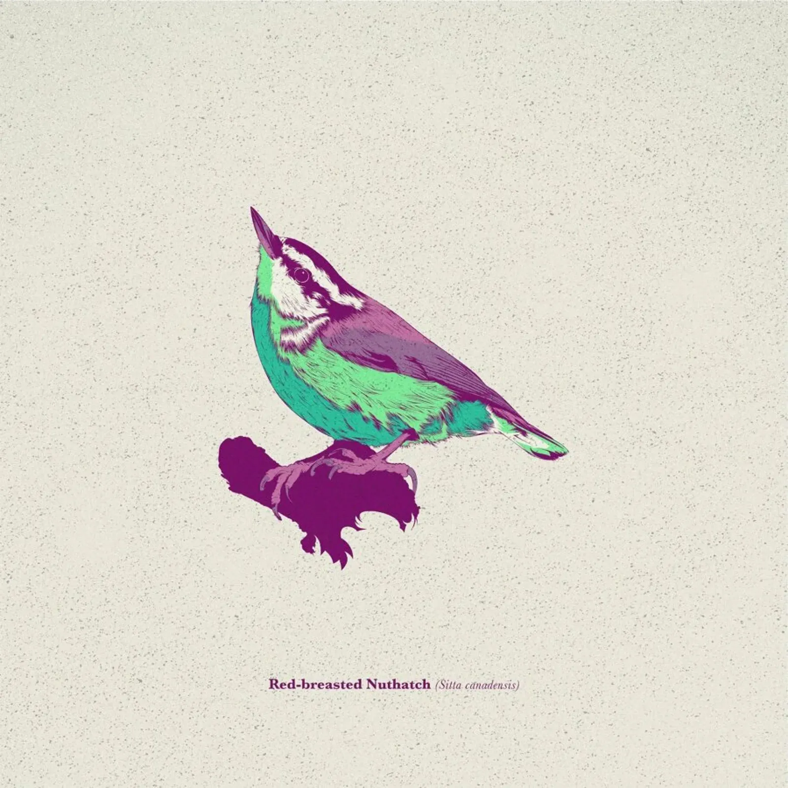 Bird 01 pellicola backlit da Cranio Dsgn