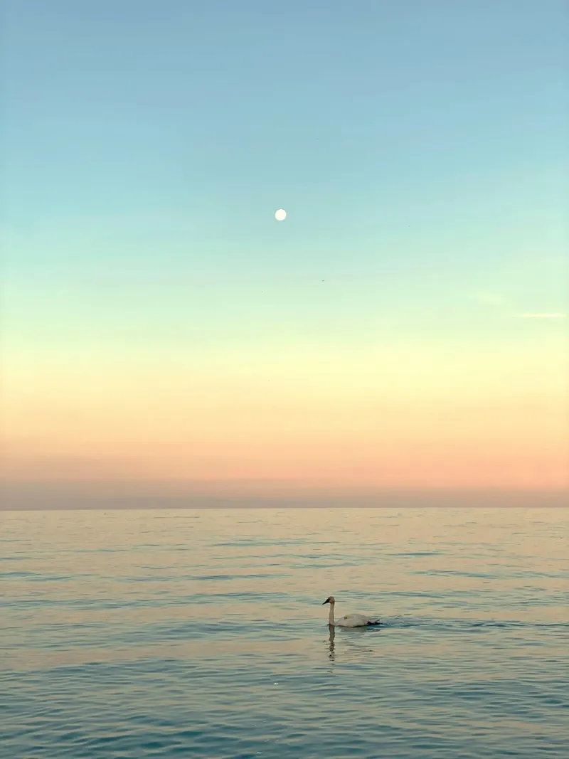 reflection serenity alluminio dibond da prindy