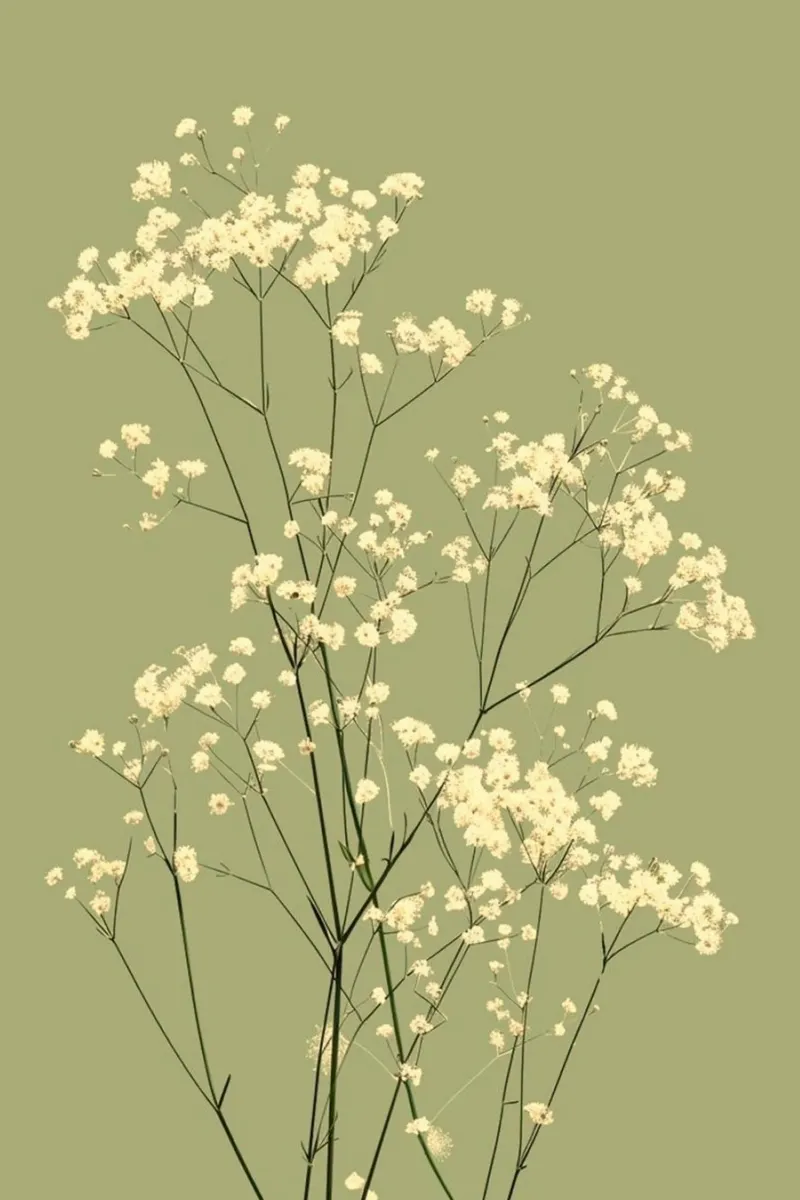 simple floral arrangement hahnemühle by twillight