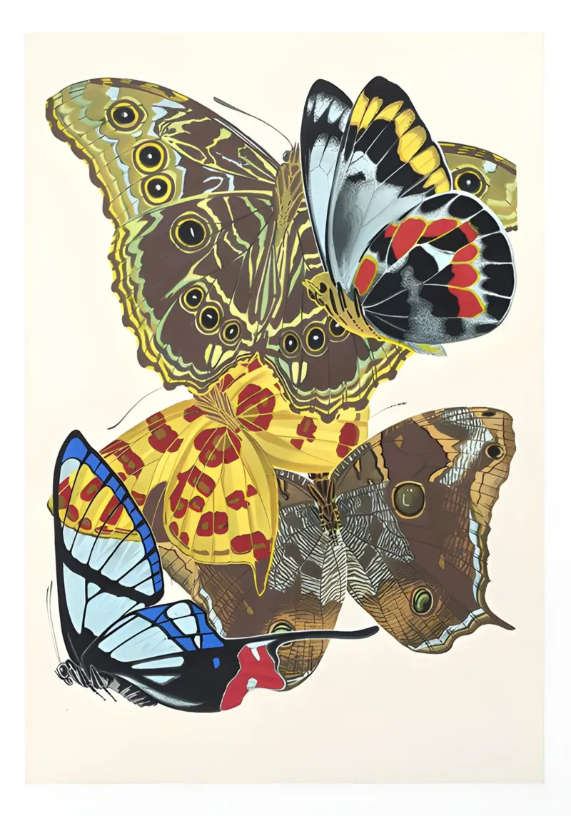 farfalle insetti modelli di ali pellicola backlit da Fred Marshall