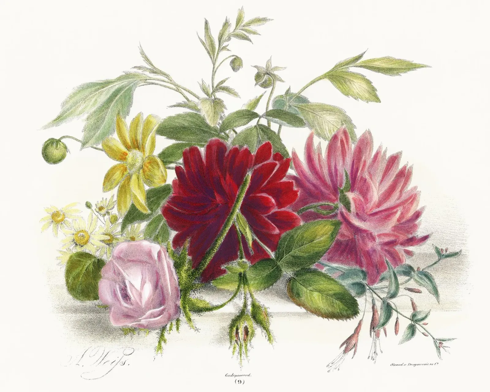 Colorful Still Life of Flowers (1850) forex plate by Venus Art