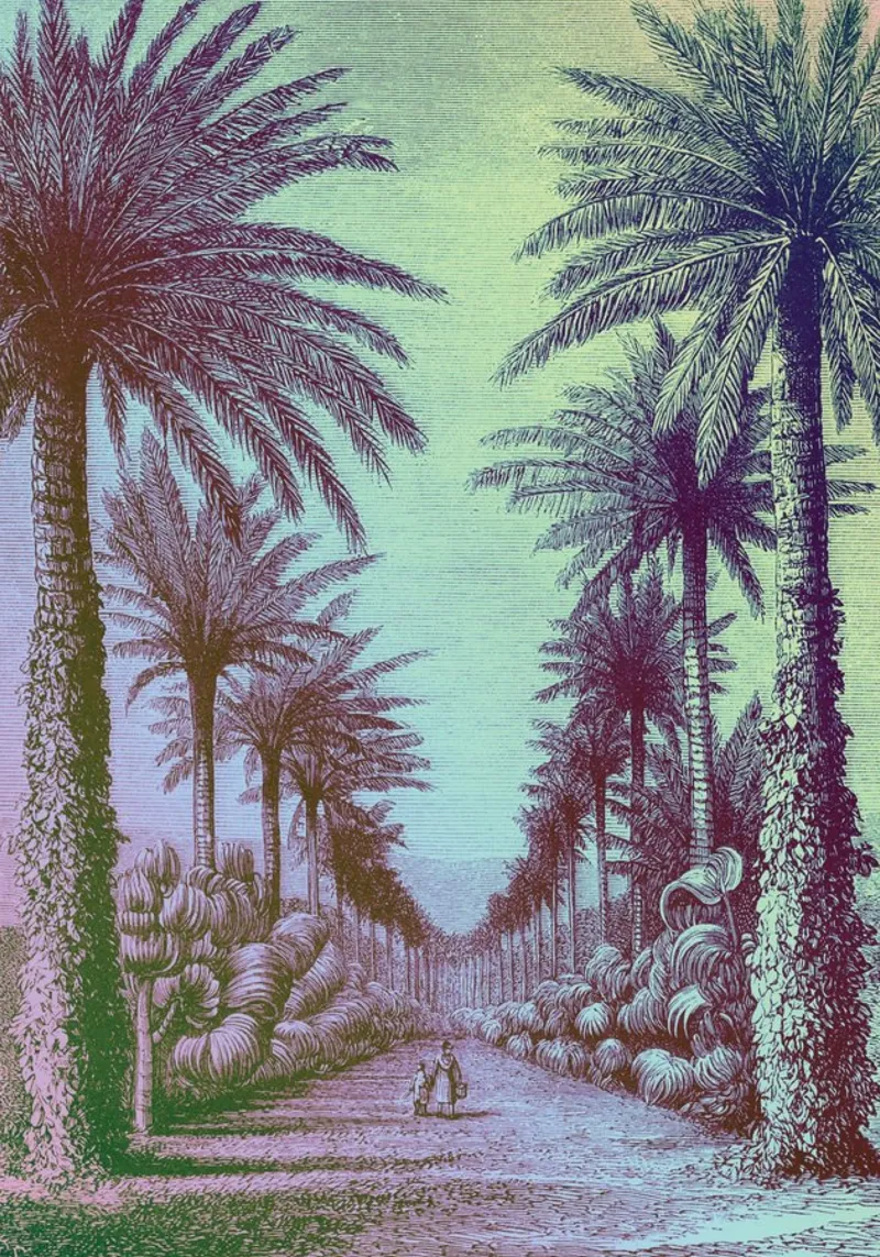 Palm Pop | Press Play Art Print Remix plexiglass da Press Play Art Prints