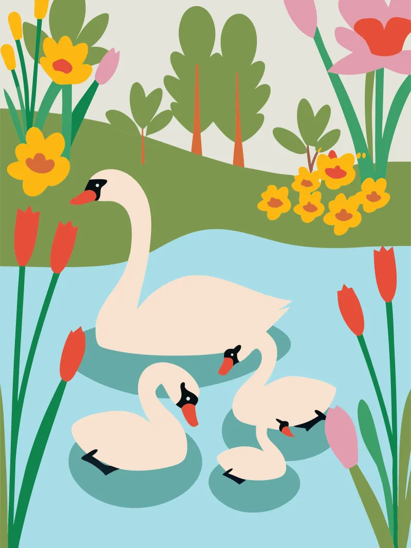 Cigno nell'acqua pellicola backlit da CUTE ANIMALS