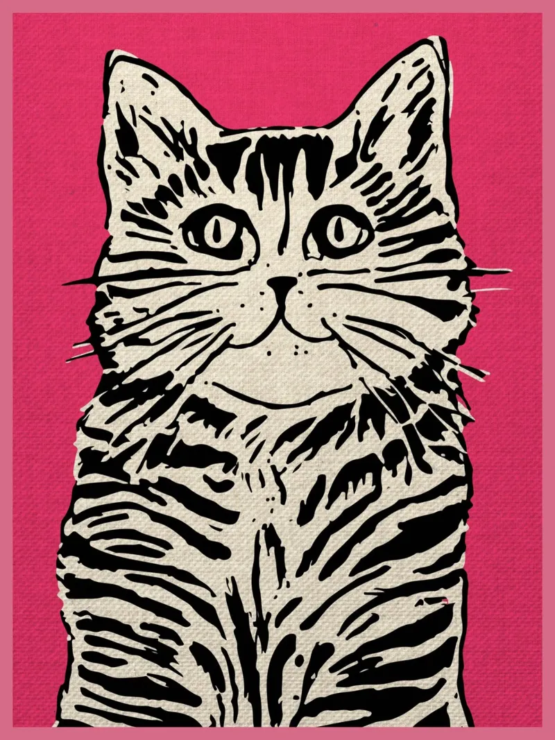 Divertente felino rosa pellicola backlit da GaryStudio