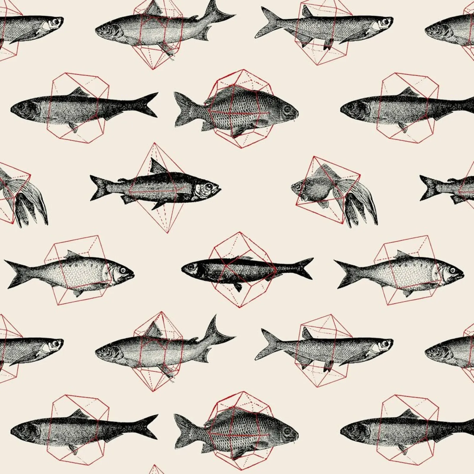 Fishes in Geometrics pellicola backlit da Florent Bodart