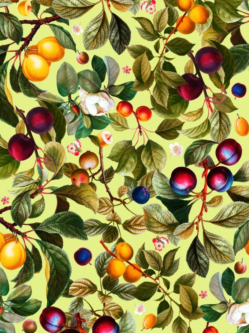 Vintage Fruit Pattern XXI pellicola backlit da burcukorkmazyurek