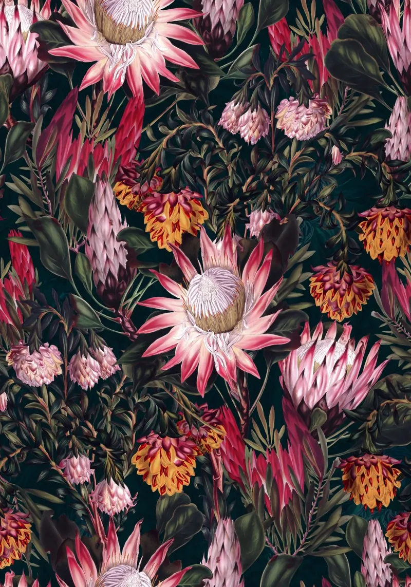 Protea Floral-Night Pattern II backlit film by burcukorkmazyurek