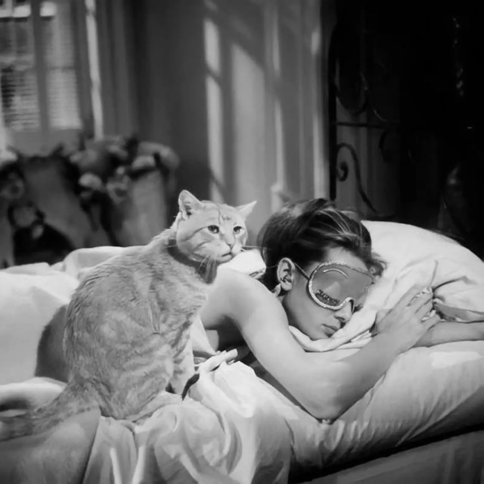 Audrey dorme con un animale pellicola backlit da glover studio