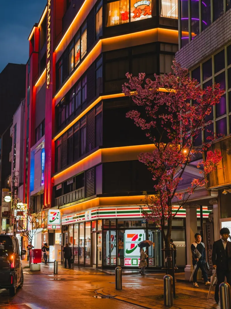Ciliegio urbano di notte - Fukuoka, Giappone poster con telaio in alluminio da Marcel Bisig