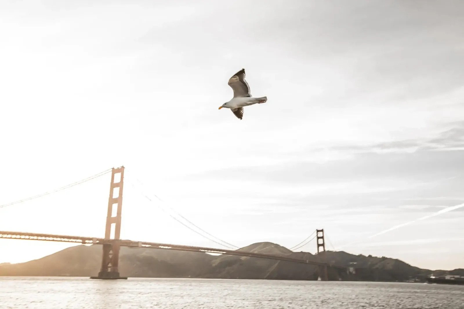 Visione del Golden Gate, San Francisco poster con telaio in alluminio da Wanderlust Vibes
