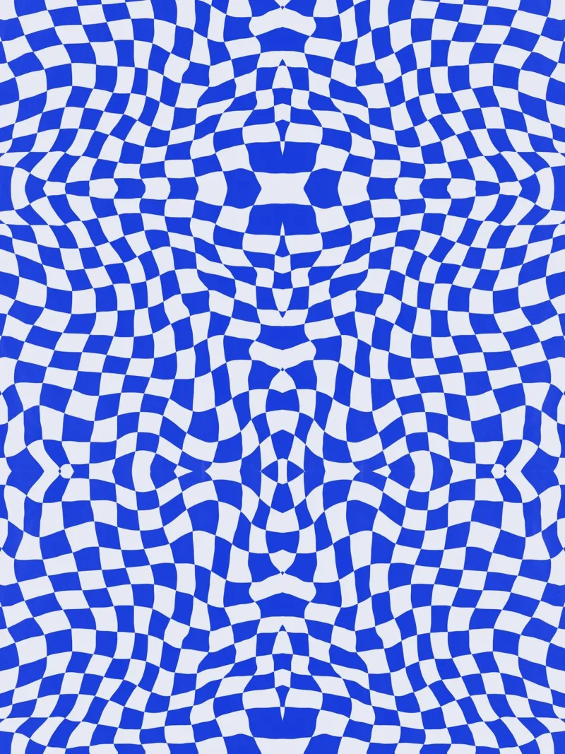Symmetrical checker vibration 06 canvas by Little Dean
