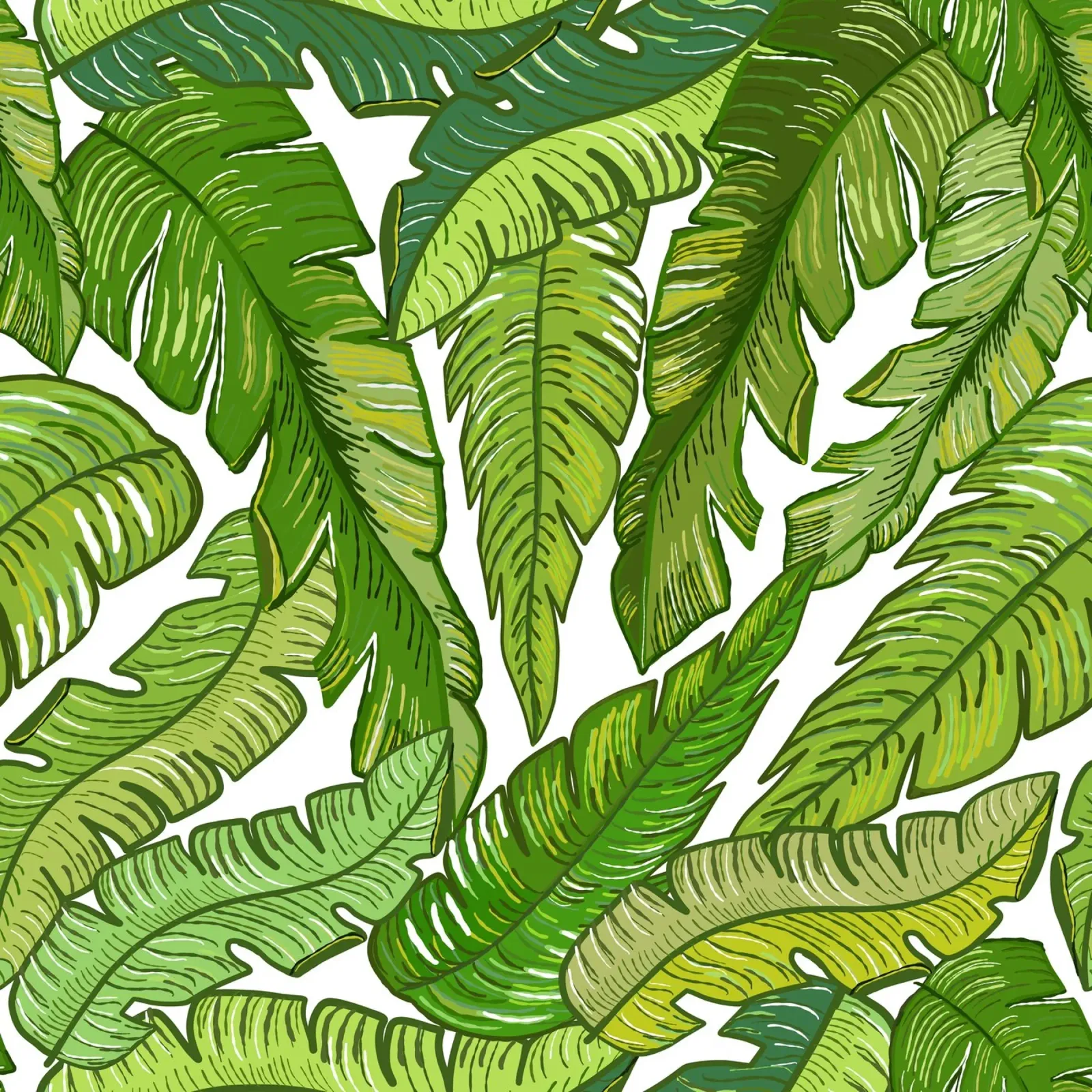 Foglie di banano tropicali poster da gulsengunel