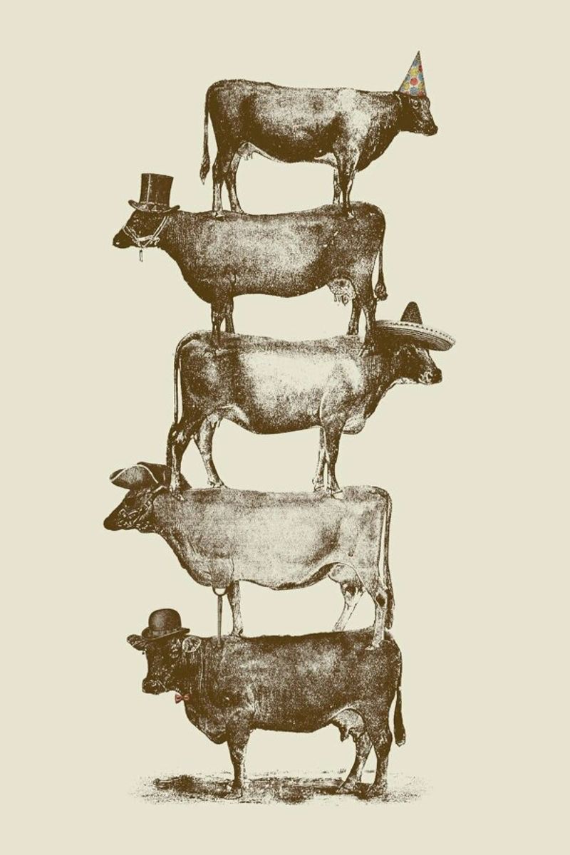 Cow Cow Nuts Poster von Florent Bodart