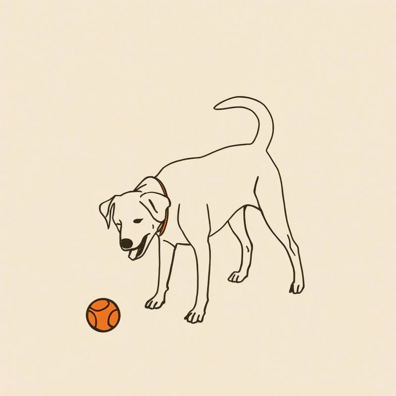 Il cane gioca con una palla in un ambiente interno caldo plexiglass da DesignDoodle