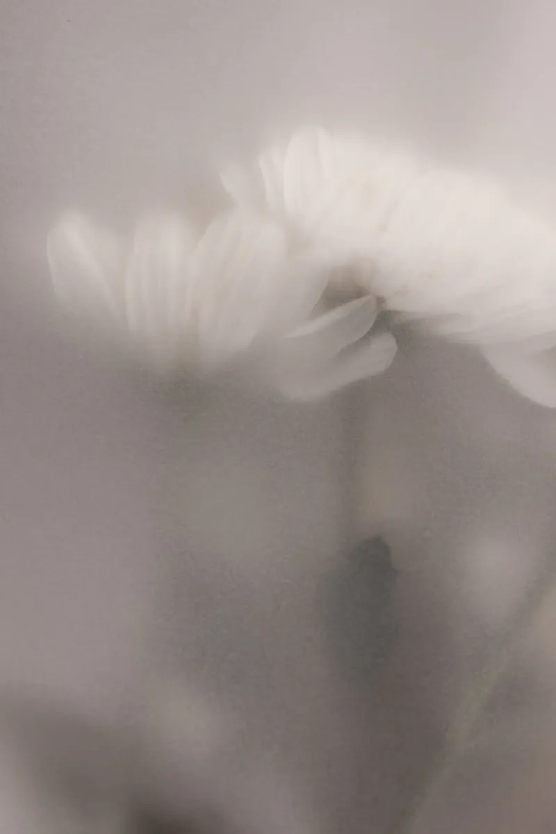 Blurred Flowers 3 carta hahnemühle da Mareike Böhmer Photography