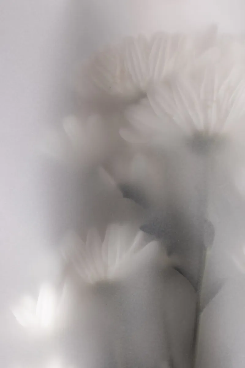 Blurred Flowers 5 carta hahnemühle da Mareike Böhmer Photography