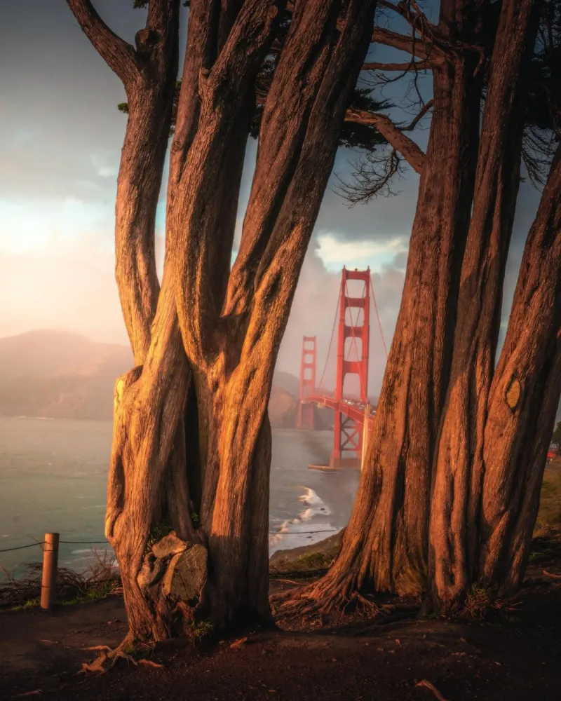 Visione del Golden Gate, San Francisco plexiglass da Wanderlust Vibes