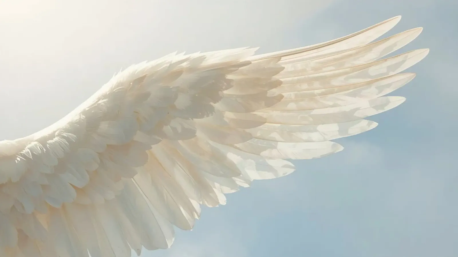 Maestose ali bianche che si allungano contro un cielo limpido carta hahnemühle da DesignDoodle