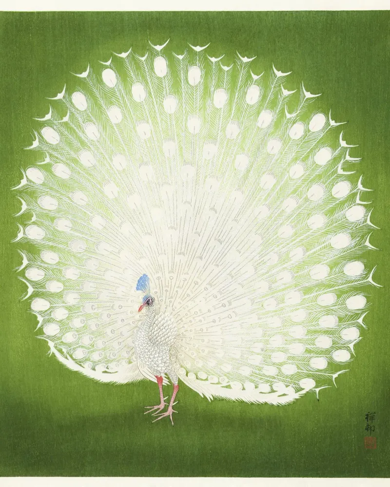 Pavone (1925-1936) di Ohara Koson pellicola backlit da Art History