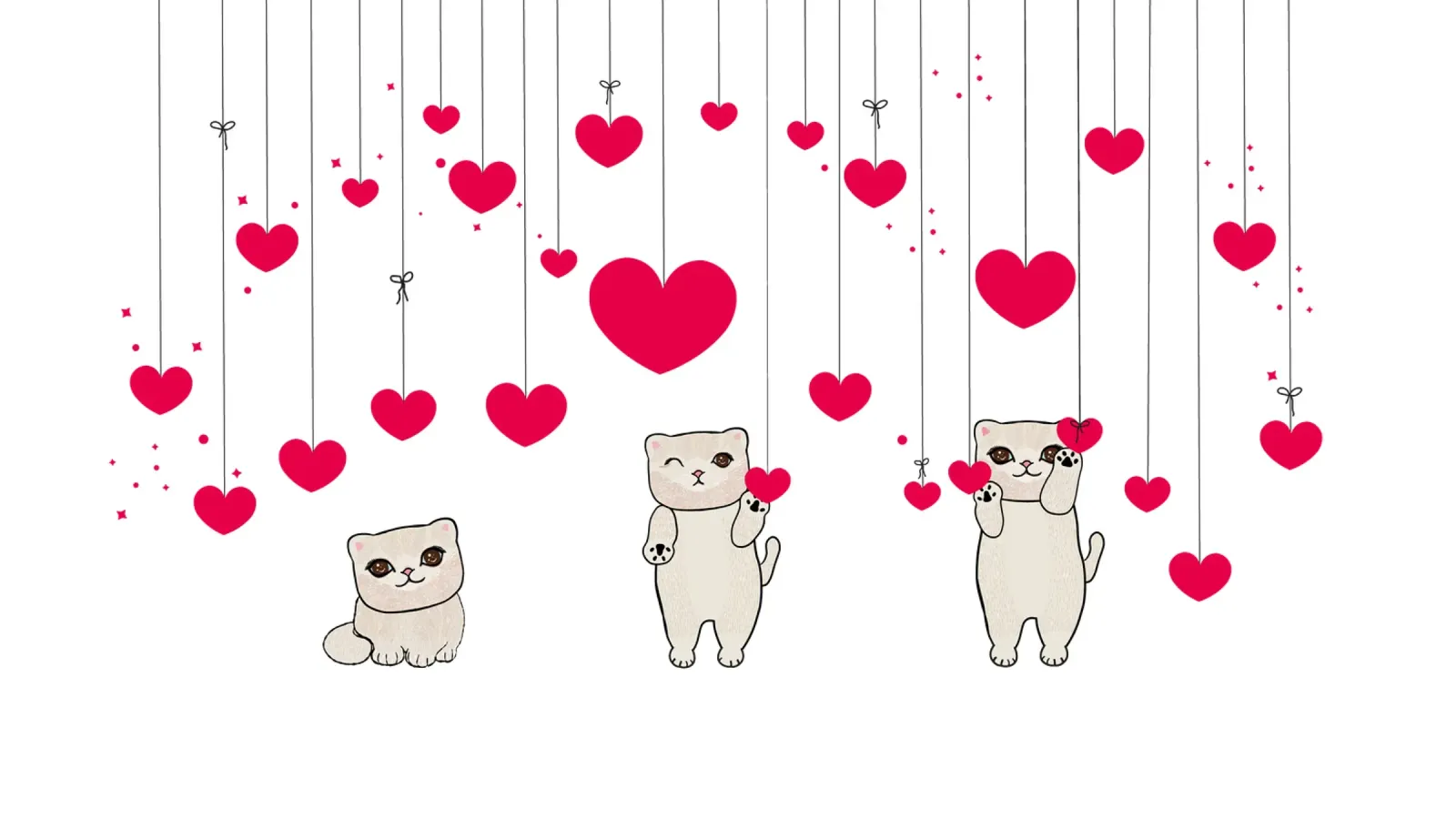 Cuori e stelle appesi con un simpatico gatto alluminio dibond da gulsengunel