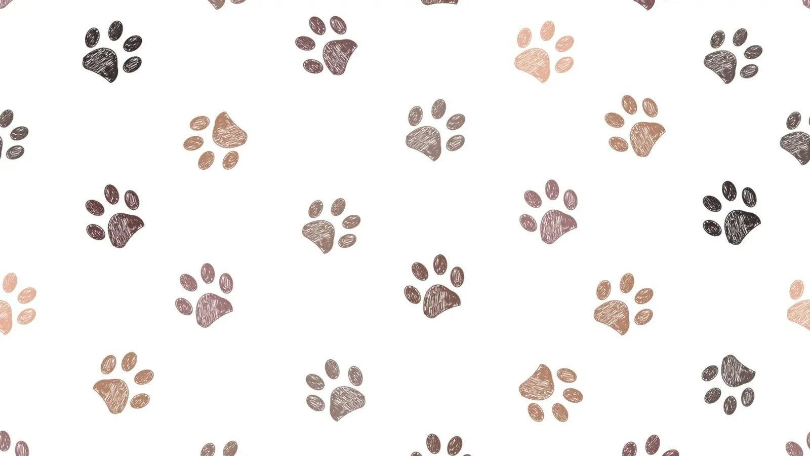 Seamless banner design paw prints canvas by gulsengunel