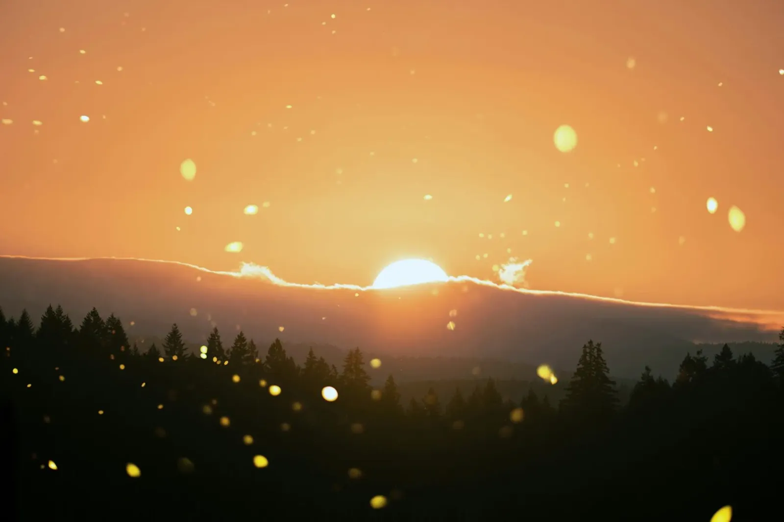sunset sun hahnemühle by Earthly Visions