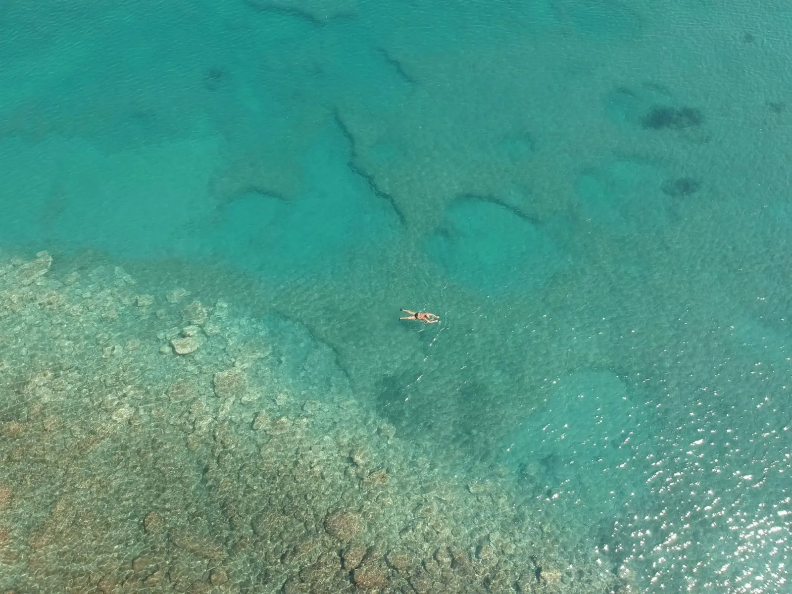 snorkeling pellicola backlit da cofa home