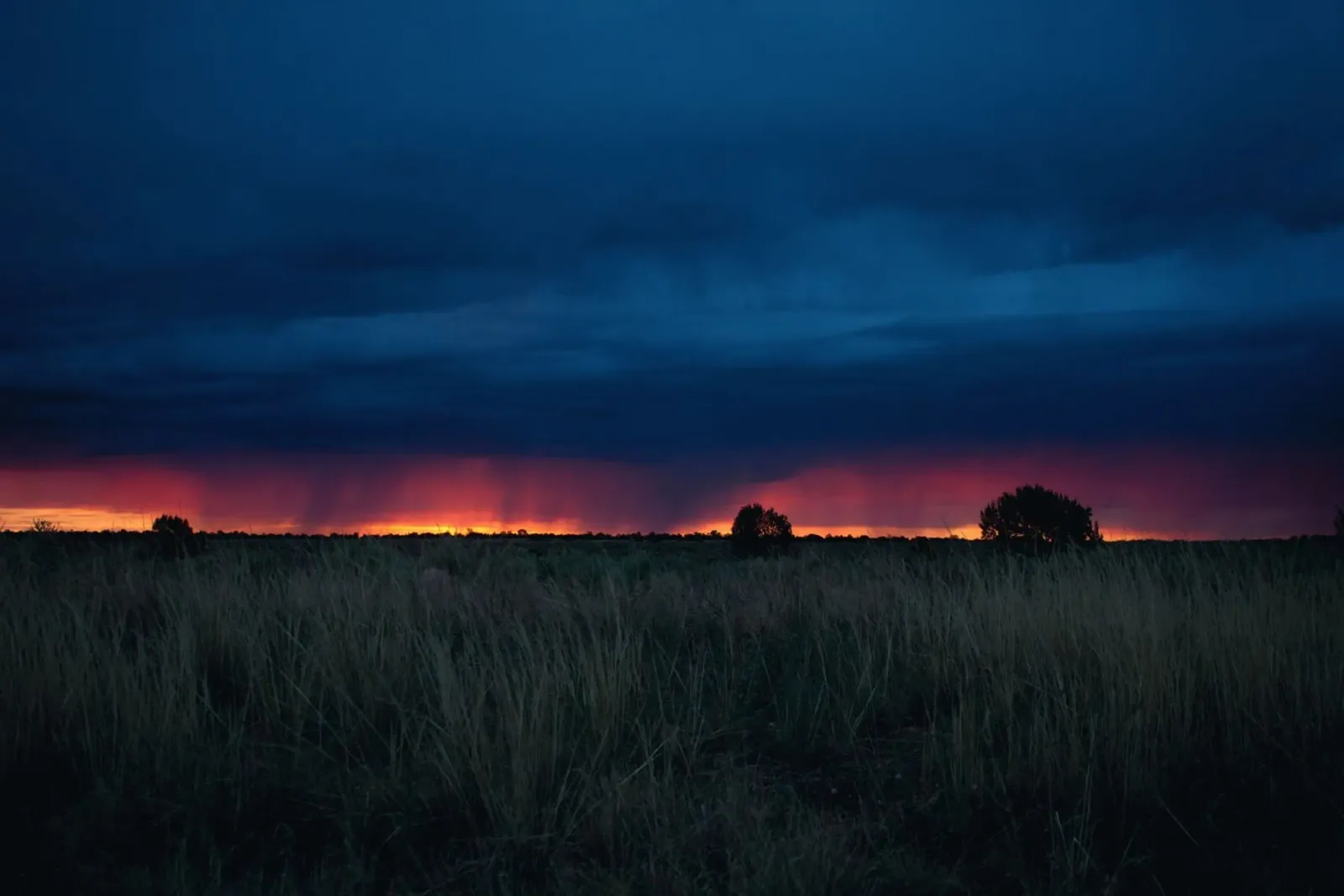 storm clouds grassland pellicola backlit da animal story home