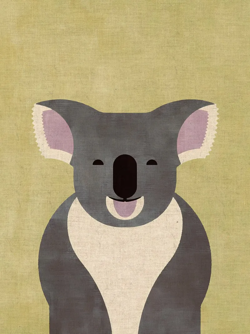 Orso Koala carta hahnemühle da Matlock Studio