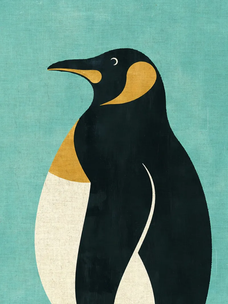 Pinguino imperatore carta hahnemühle da Matlock Studio