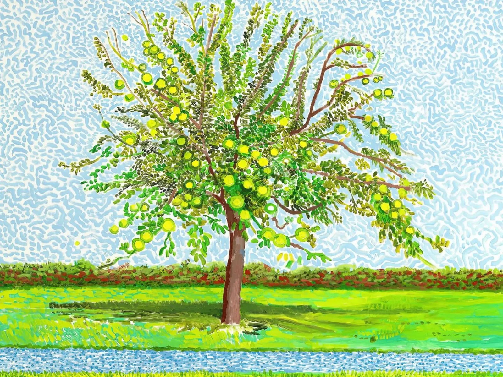 david hockney 3 plexiglass da LuppiLappi