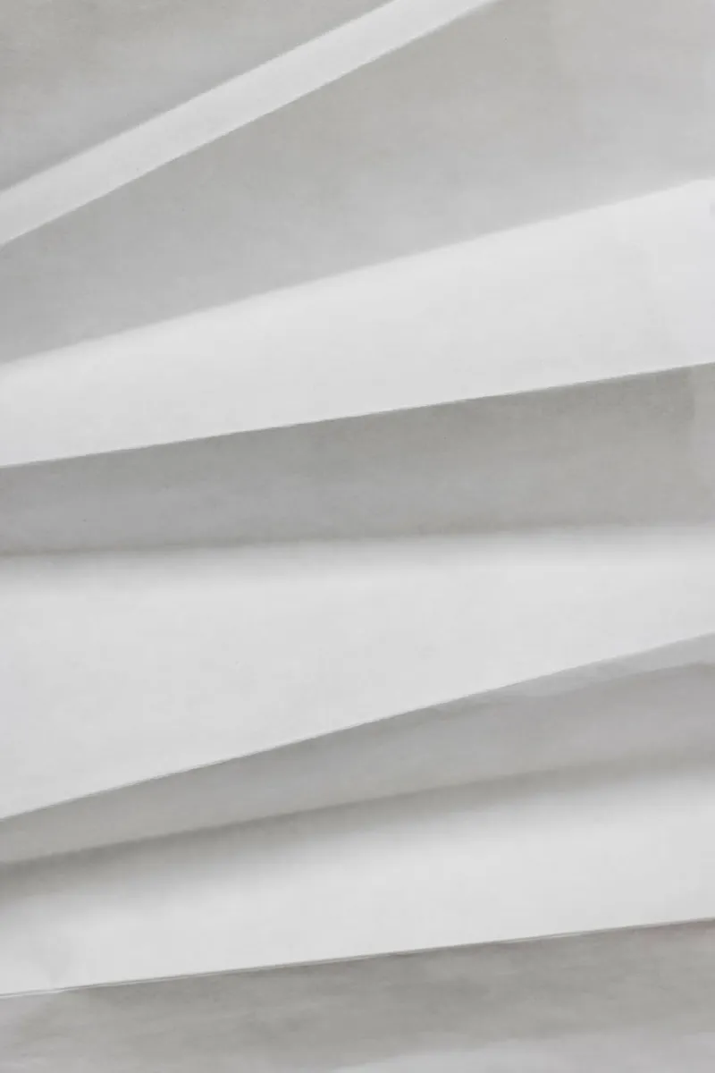 Paper Studies 11 carta hahnemühle da Mareike Böhmer Photography