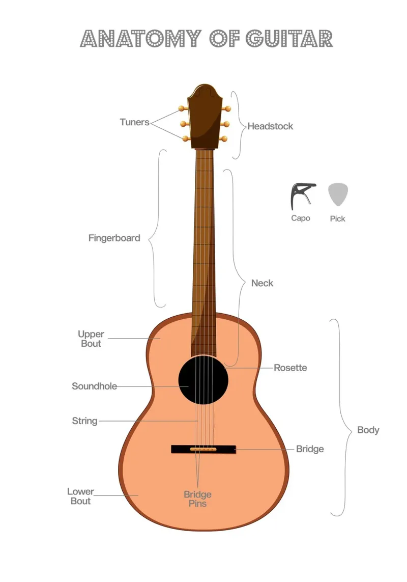 Anatomy of a Guitar pellicola backlit da Attaboy Dsgn