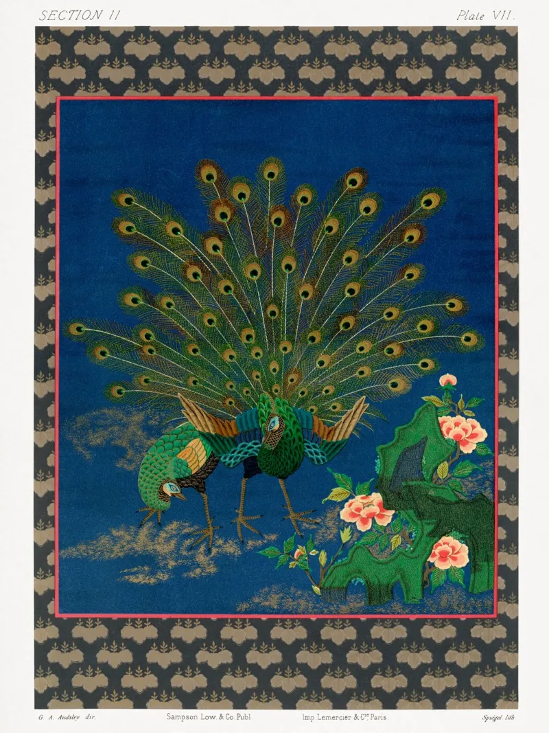Peacock showing off to peahen plexiglass da vintageshop