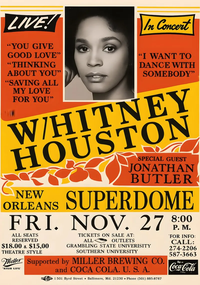 Whitney Houston 1987 Concert canvas by DGUnder