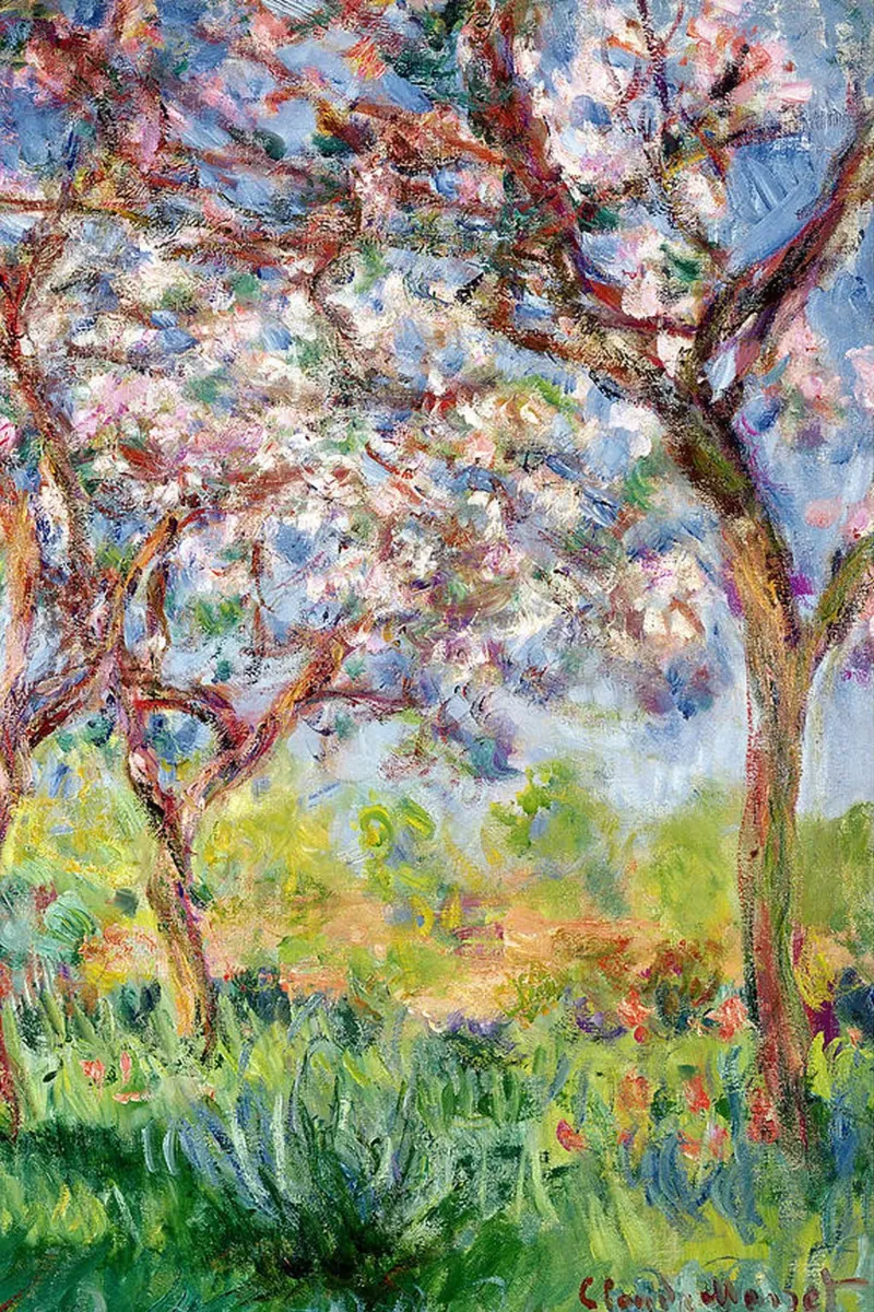 Primavera a Giverny pellicola backlit da RodneyArt