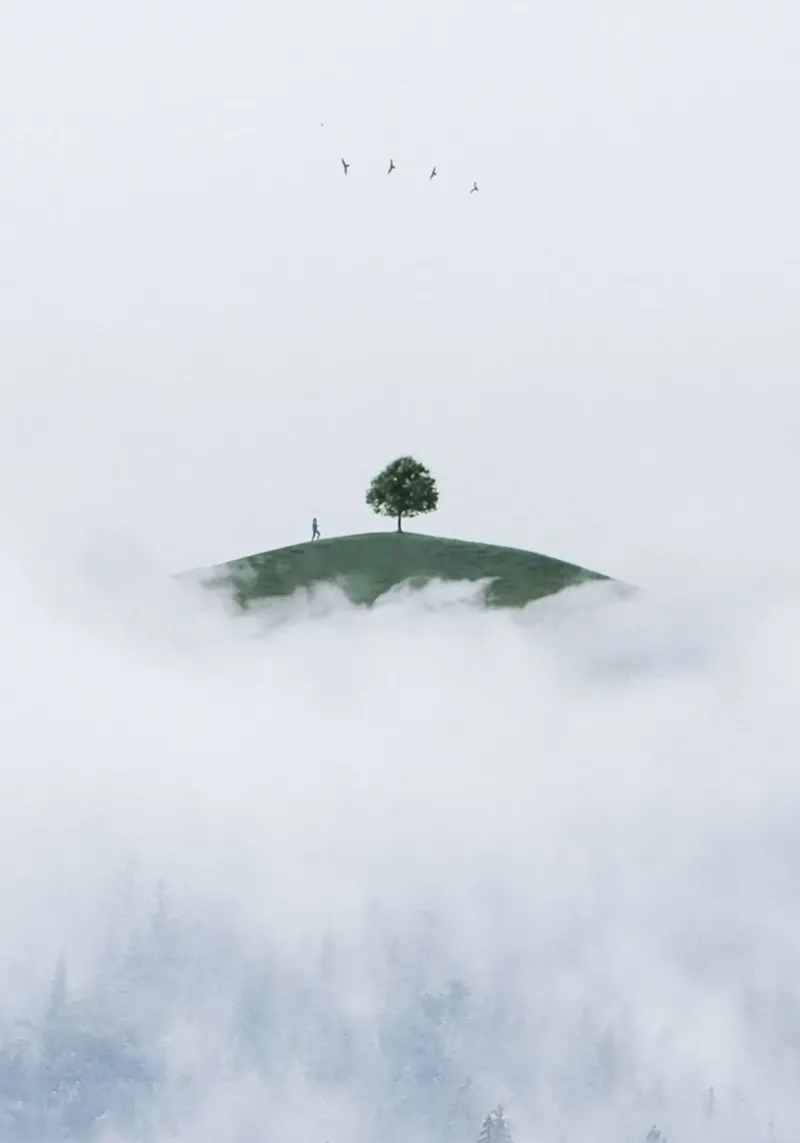 dreamlike tranquility carta hahnemühle da prindy