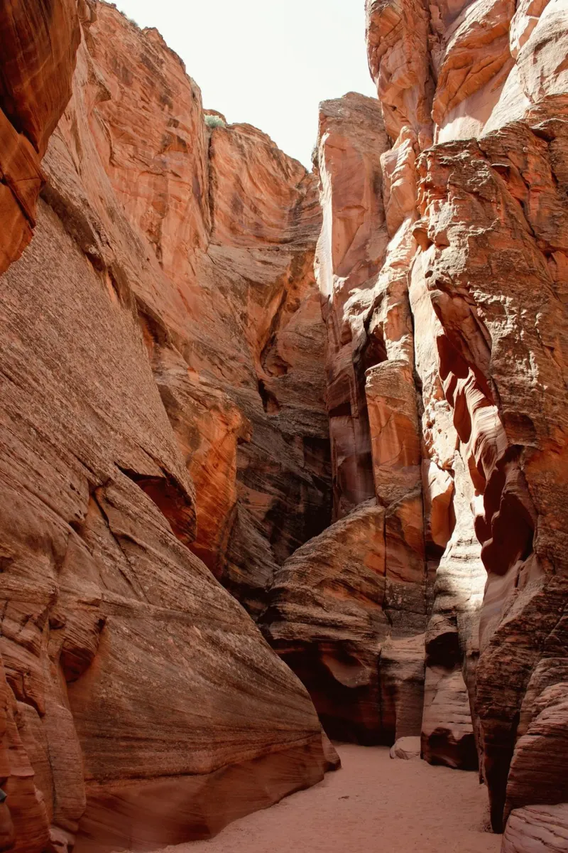 erosion slot canyon canvas by animal story home